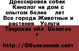 Дрессировка собак (Кинолог на дом с опытом более 10 лет) - Все города Животные и растения » Услуги   . Тверская обл.,Бологое г.